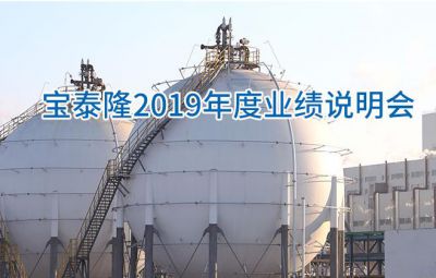 寶泰隆公司2019 年度業(yè)績(jī)發(fā)布會(huì)報(bào)道